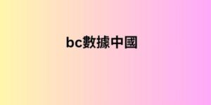 bc數據中國