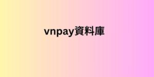 vnpay資料庫