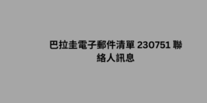 巴拉圭電子郵件清單 230751 聯絡人訊息 